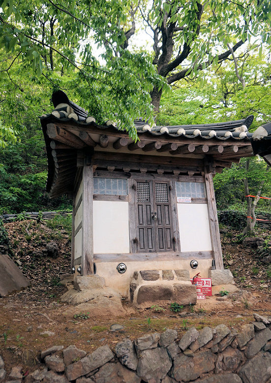 오룡 이미지