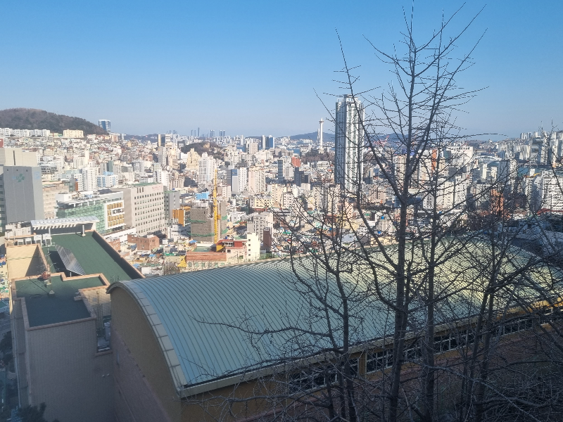 석조전자 이미지