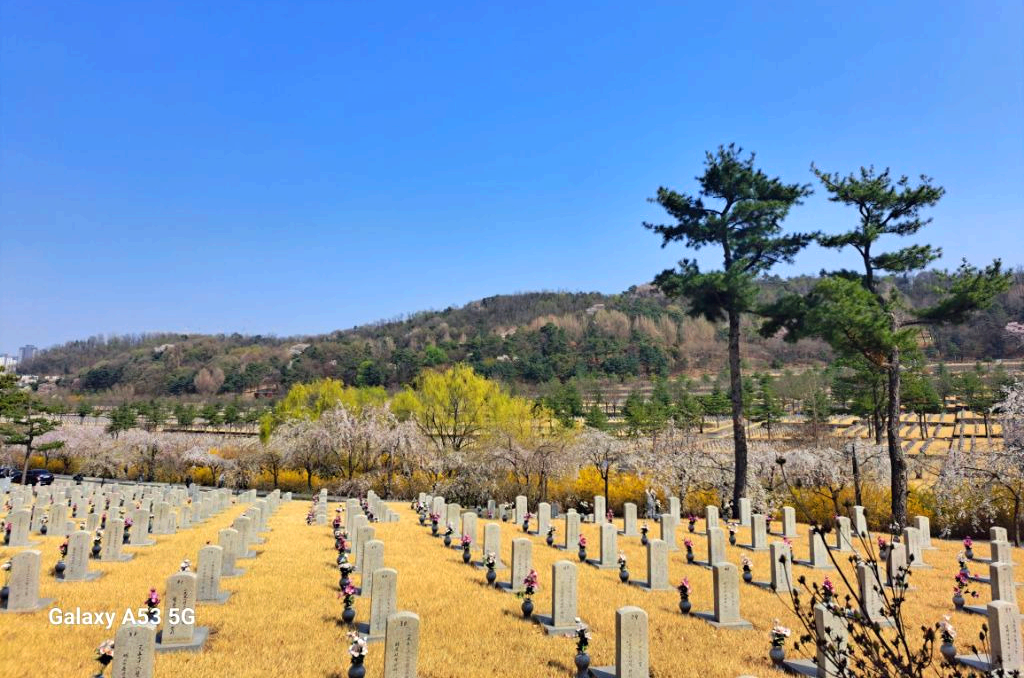 수양 이미지