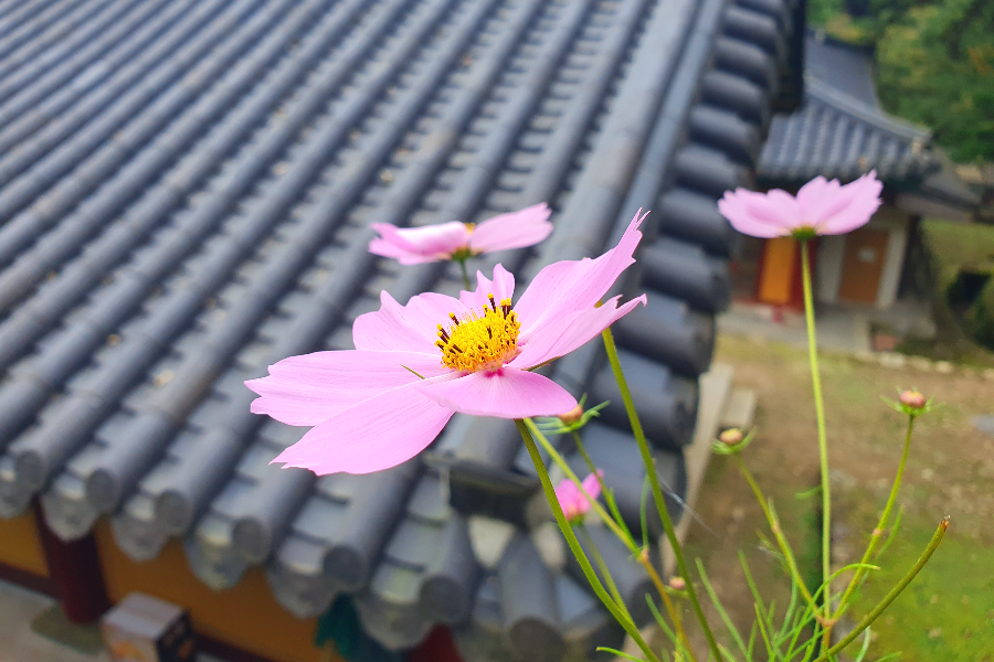 풍경소리 이미지