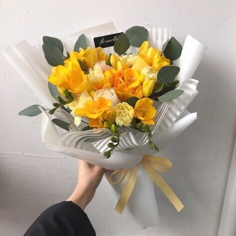 후리지아 이미지