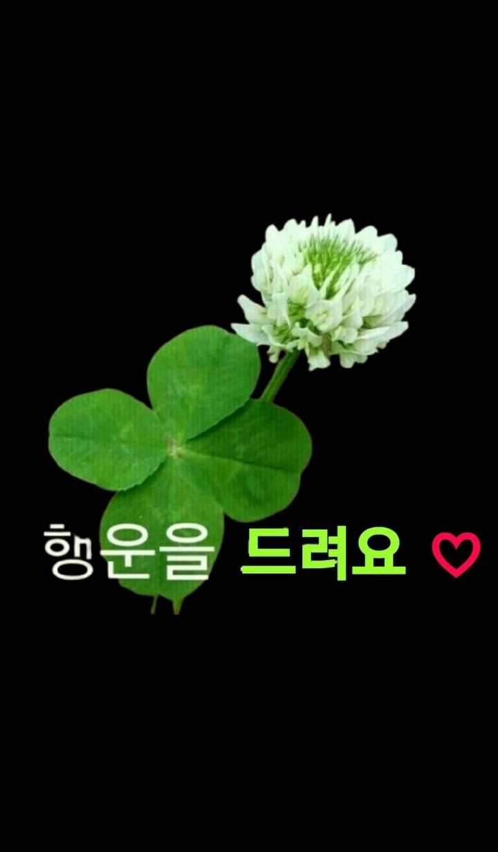 행운 이미지