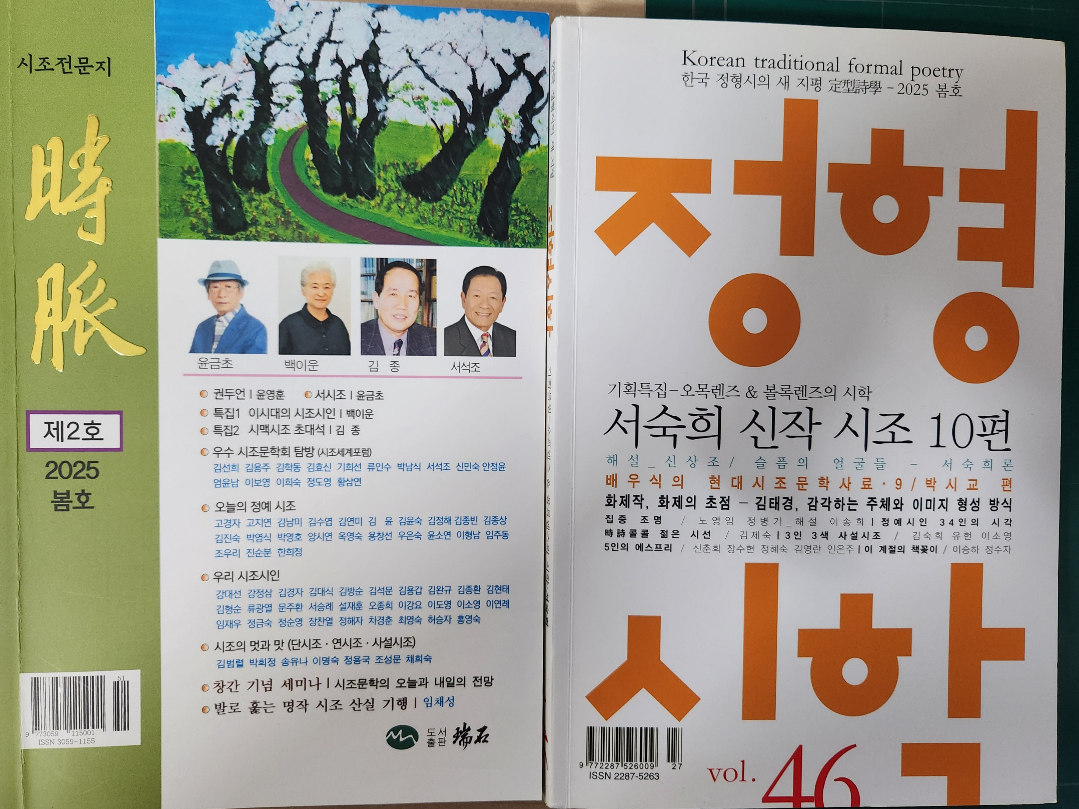 시맥 이미지