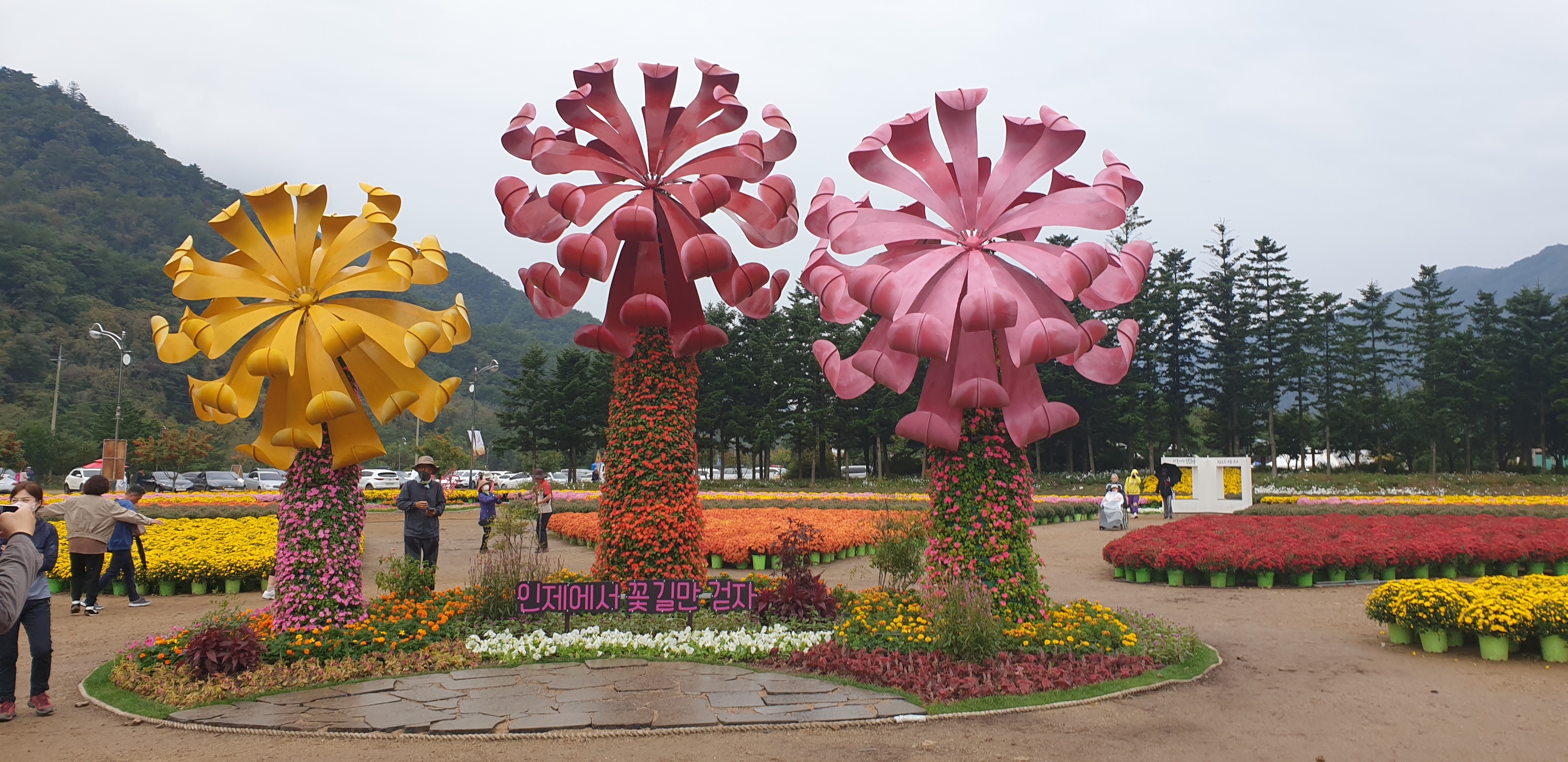 인제 꽃길 축제.......... - ◈개인산행 사진 - 강릉 블랙야크 산악회 인제 꽃길 축제..........