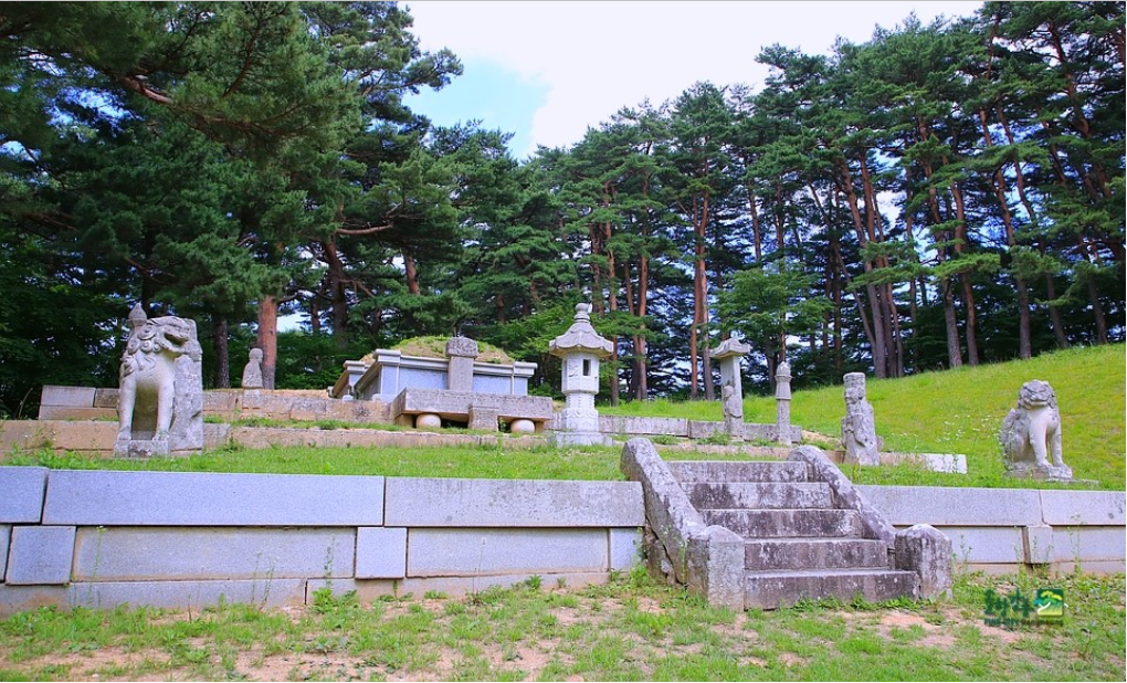 8월 7일 강릉 보광리 왕능 정기산행 합니다. - ◈ 정기산행공지 - 강릉 블랙야크 산악회 2022년 8월 7일 강릉 보광리 왕능 정기산행 합니다.