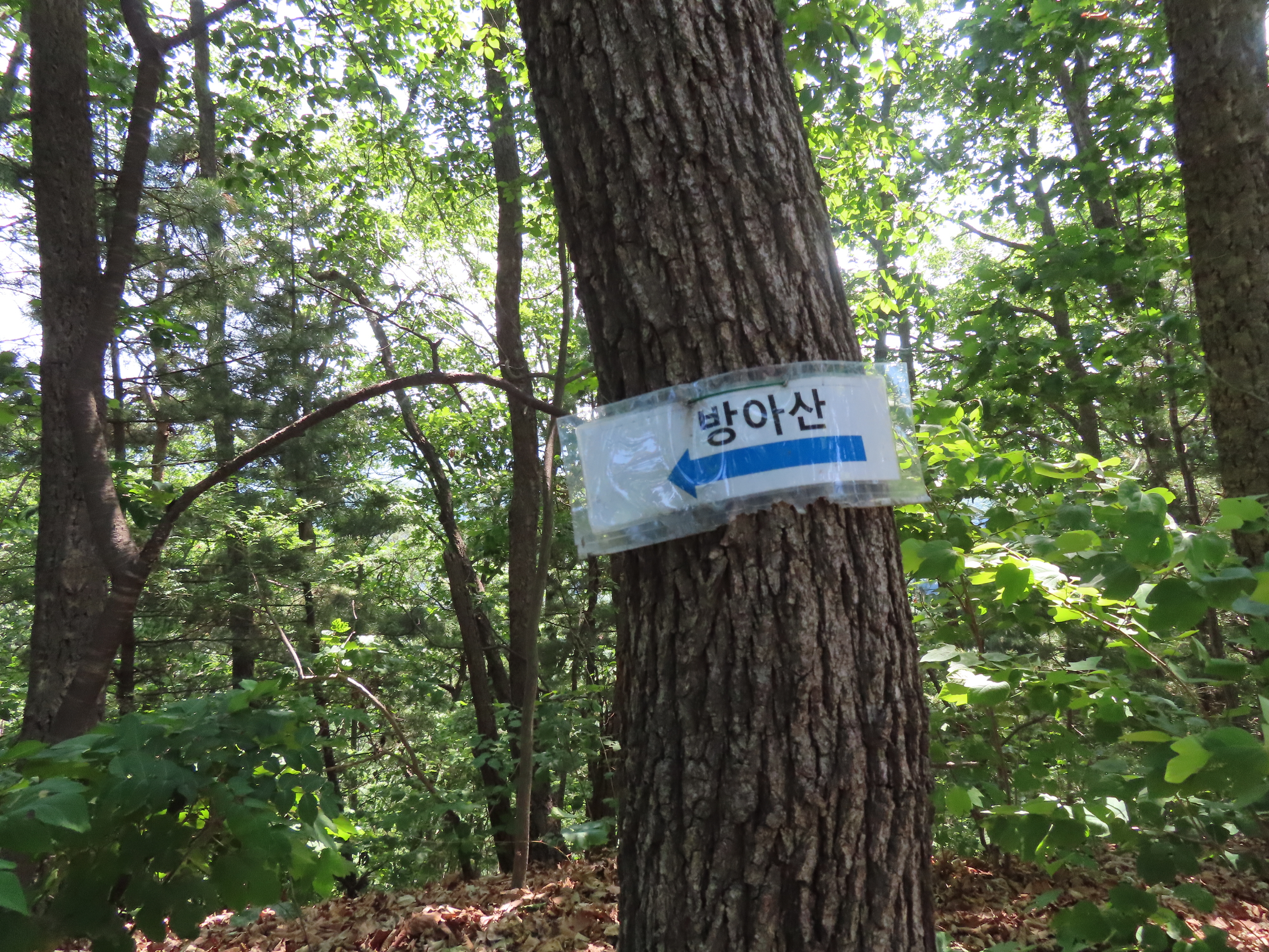 방아산정상 이미지