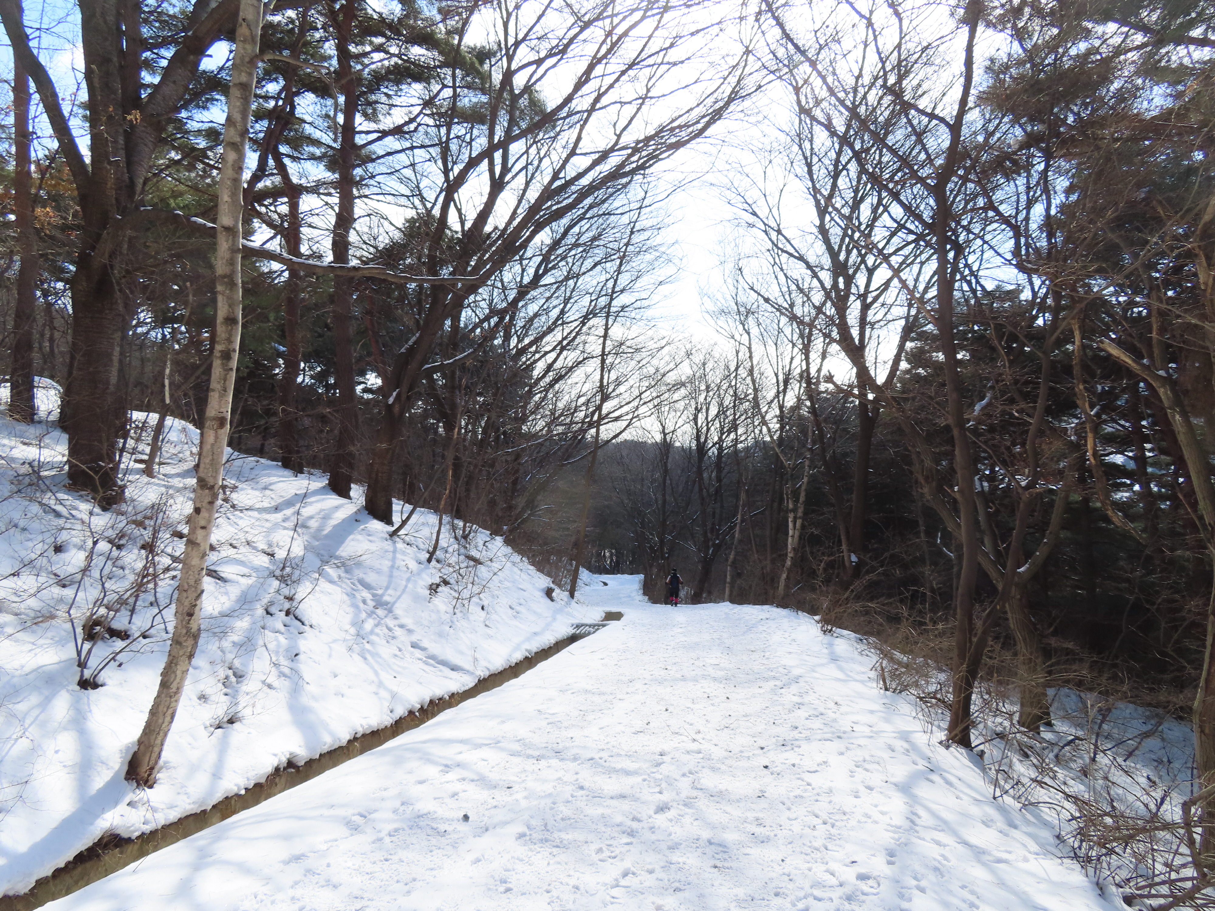 아미산숲센터 이미지