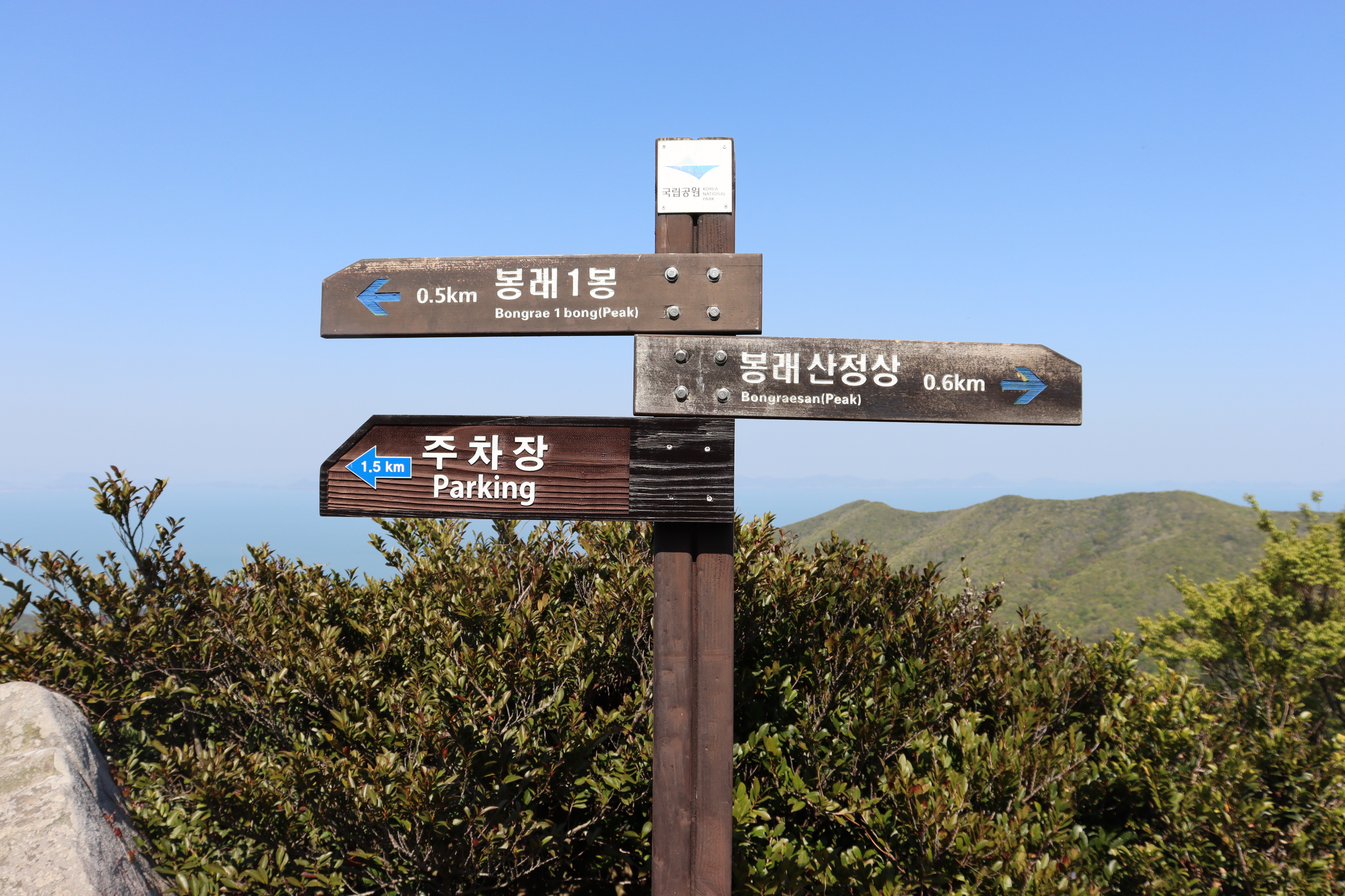 나무&숲장식 이미지