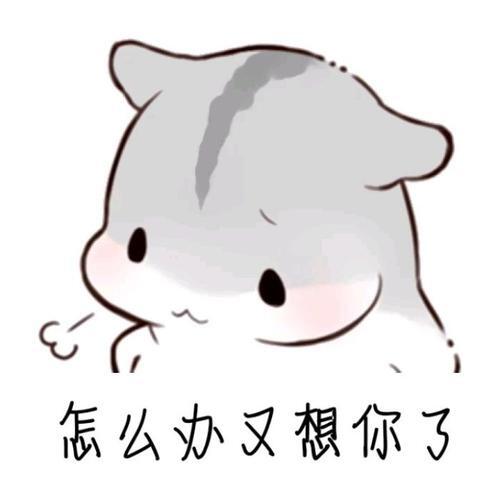 카페요기