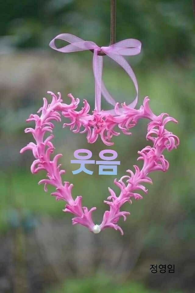 후다닭 이미지
