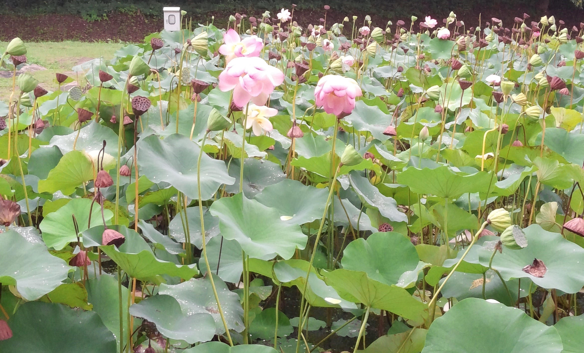 (주)도리천 이미지