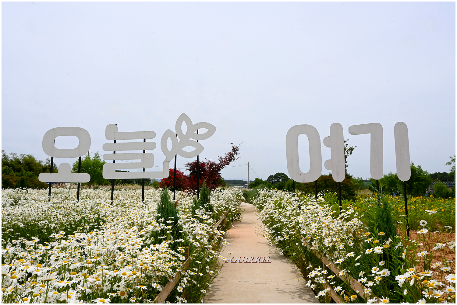 오늘,여기 이미지