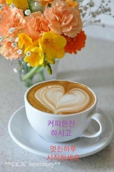 커피 이미지
