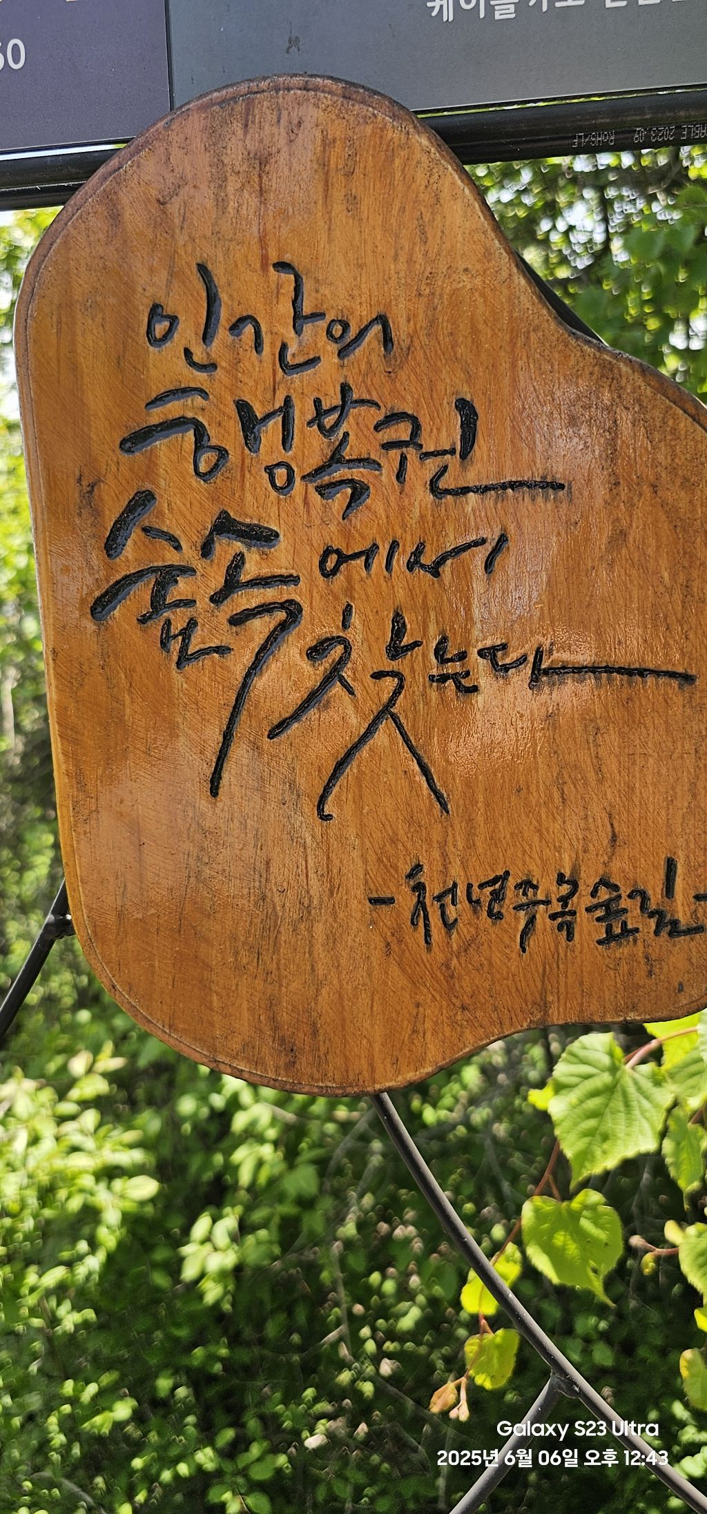 투고 이미지