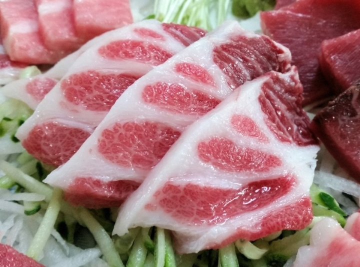 모참치 이미지
