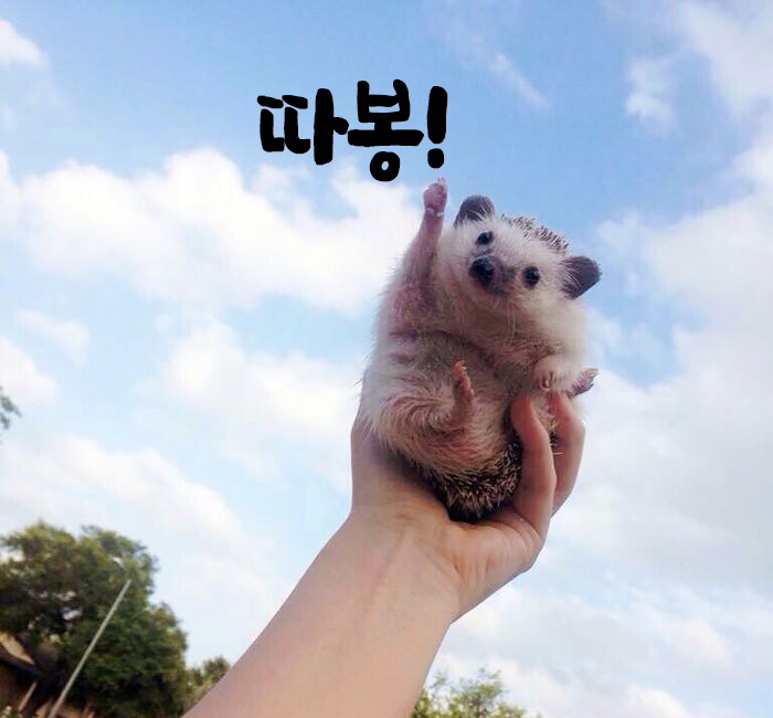 따봉 이미지