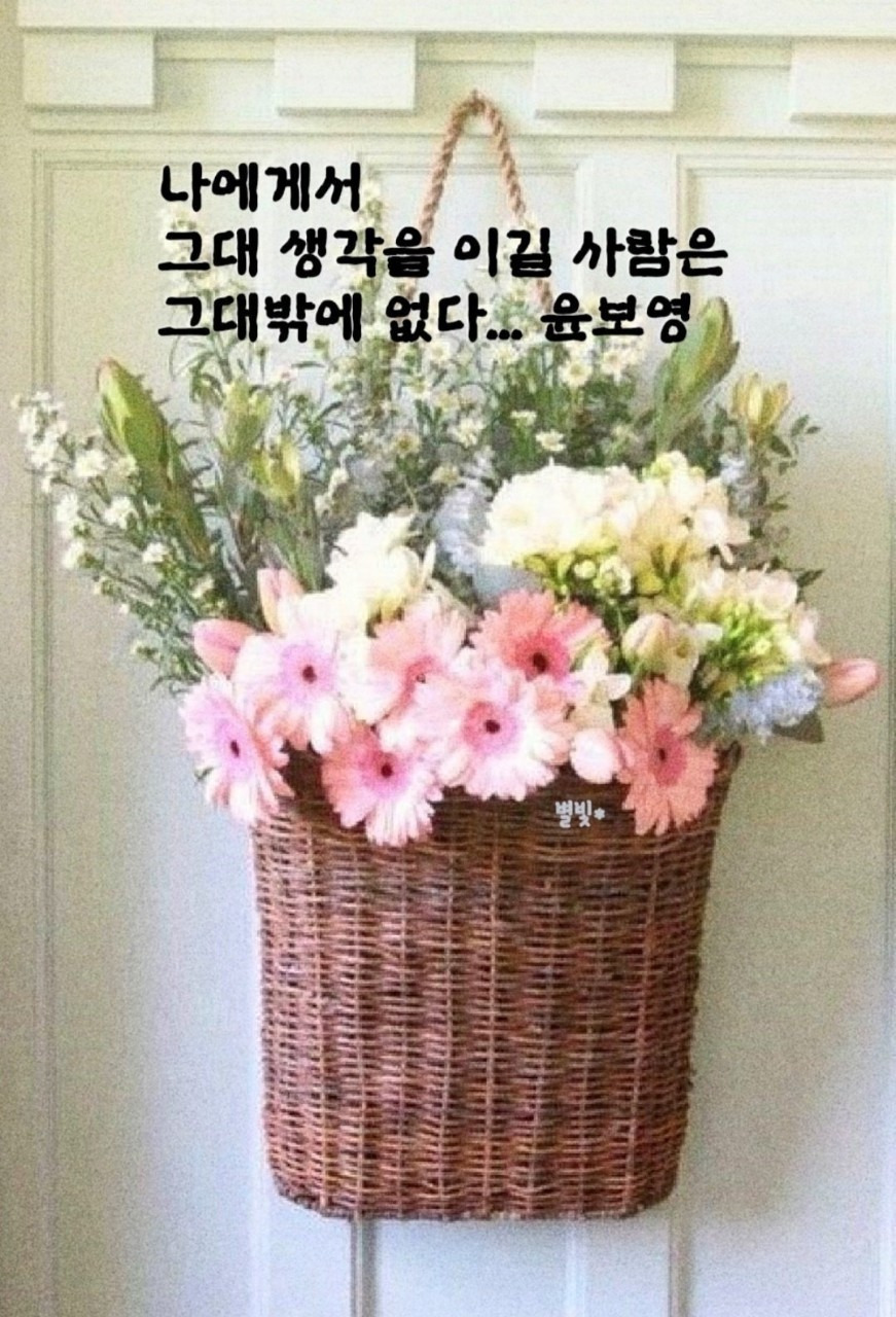 토비아 이미지