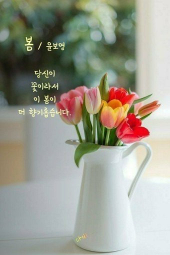 노을진 이미지