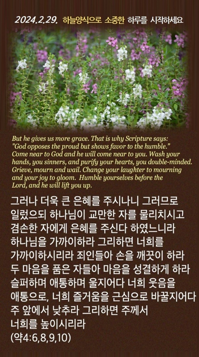 하늘29 이미지