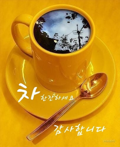 여유로움 이미지