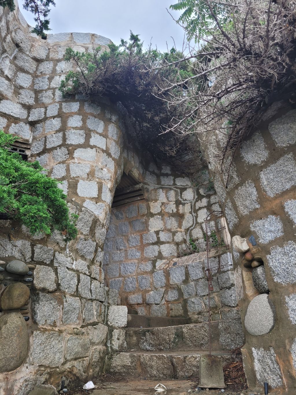 빤딱 이미지