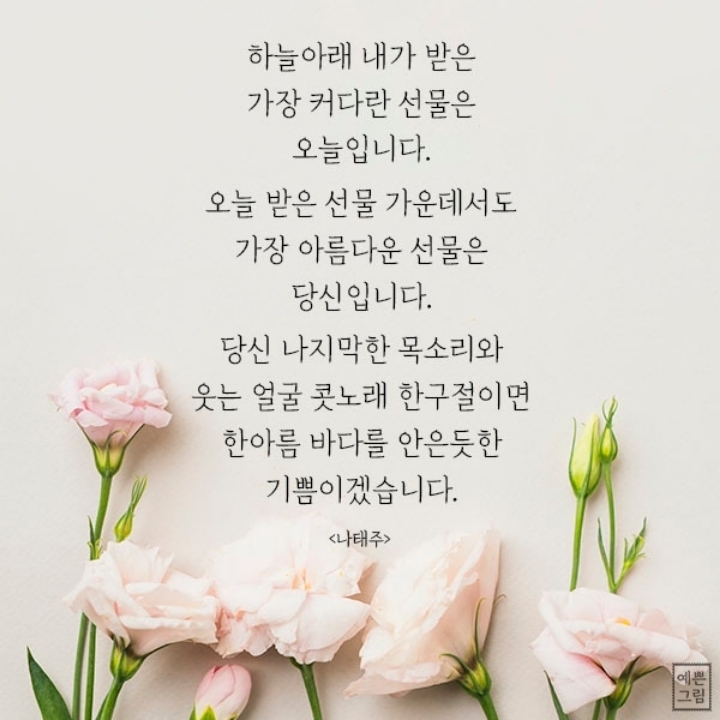쥬리아 이미지