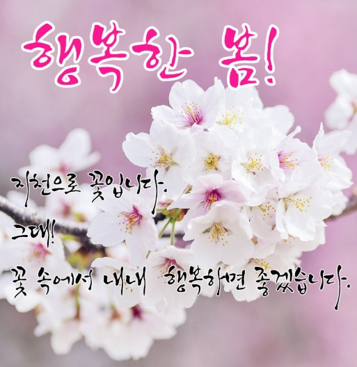 청파 이미지