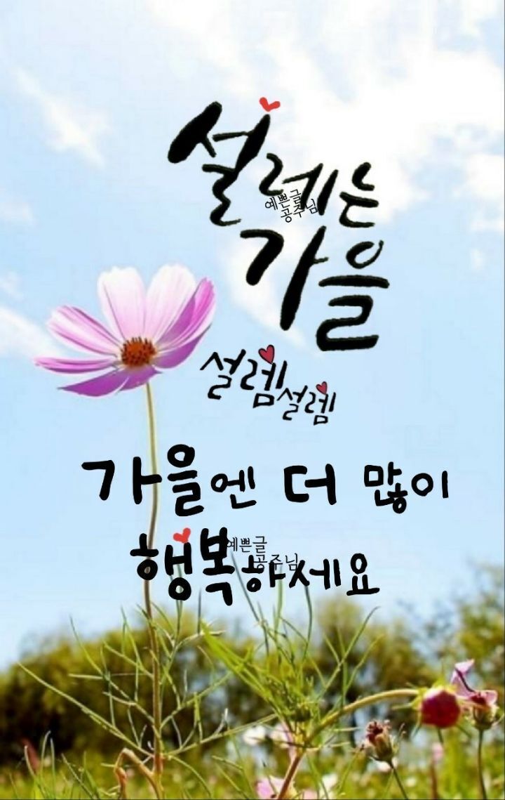 불타는닭발 이미지