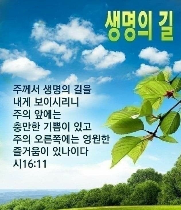 하늘29 이미지