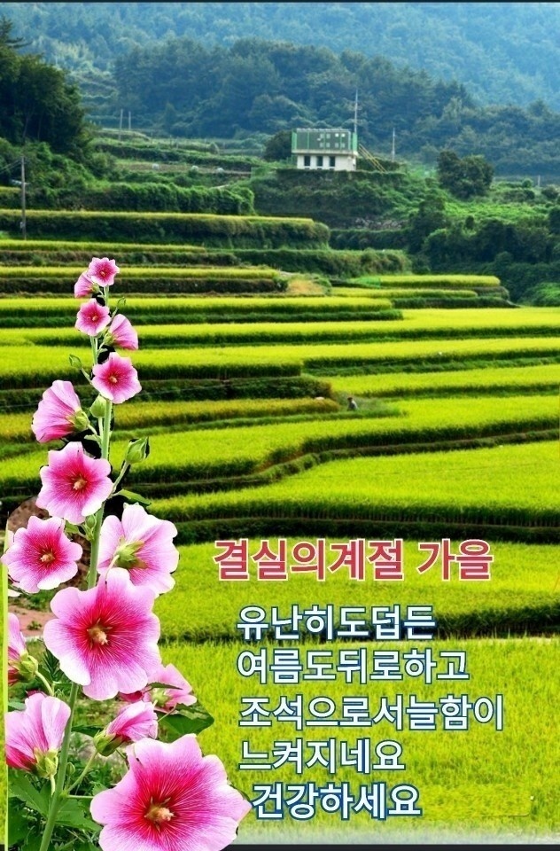 망울 이미지