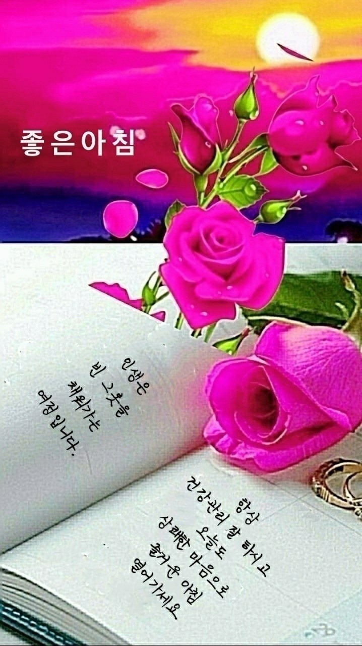 오늘도 이미지