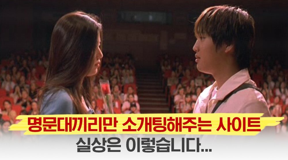 대끼리 이미지