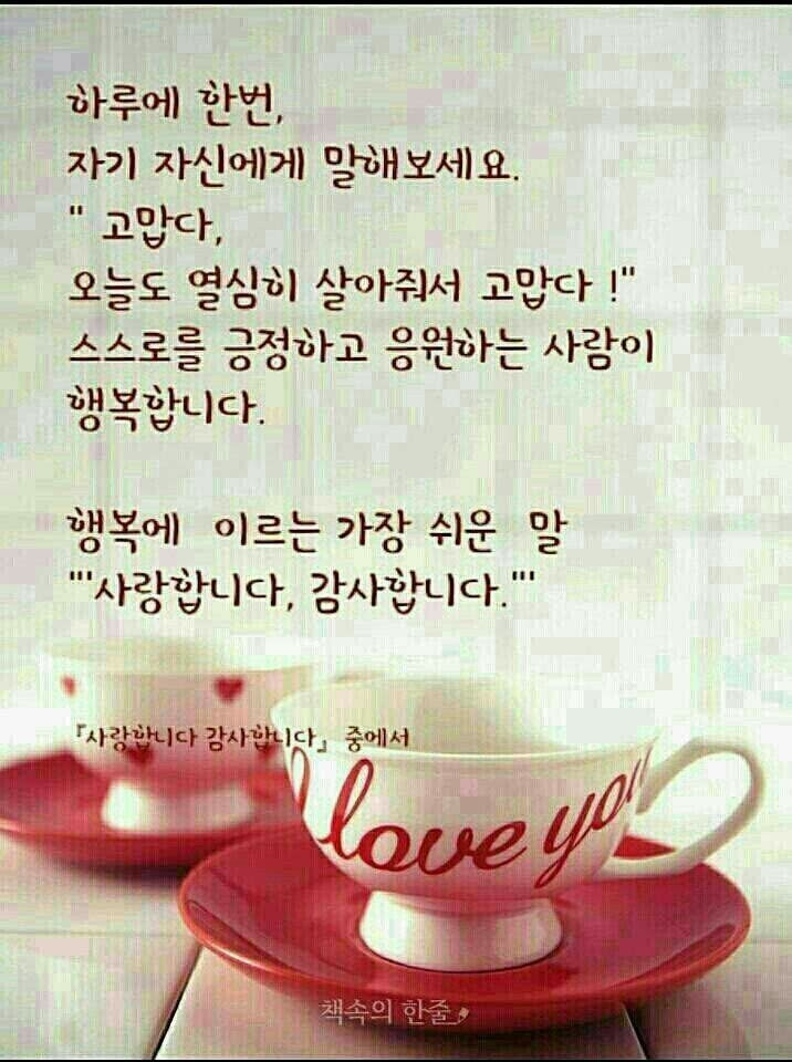 신데렐라세탁소 이미지