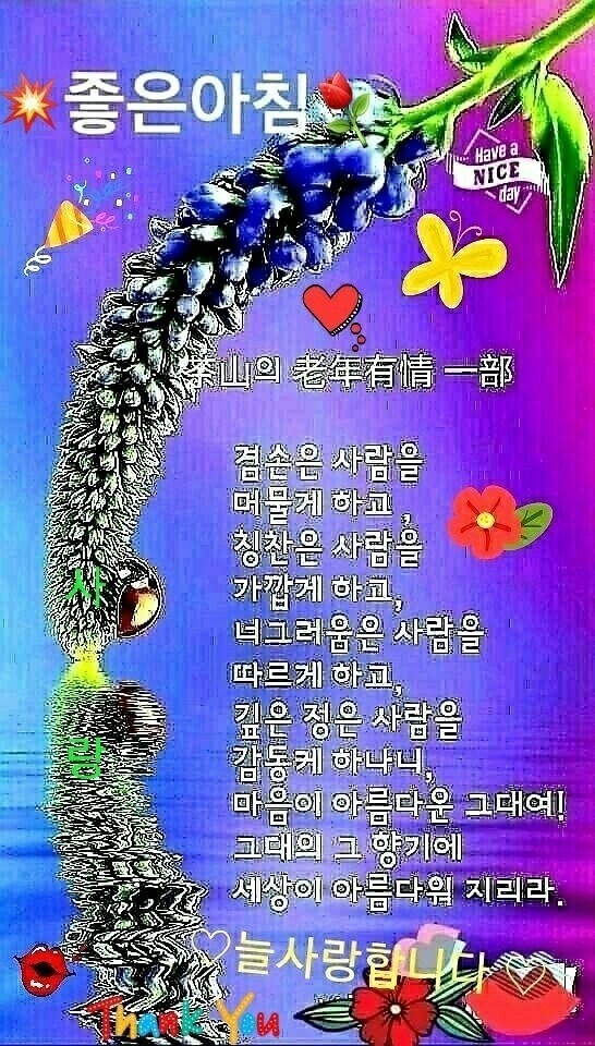소은 이미지