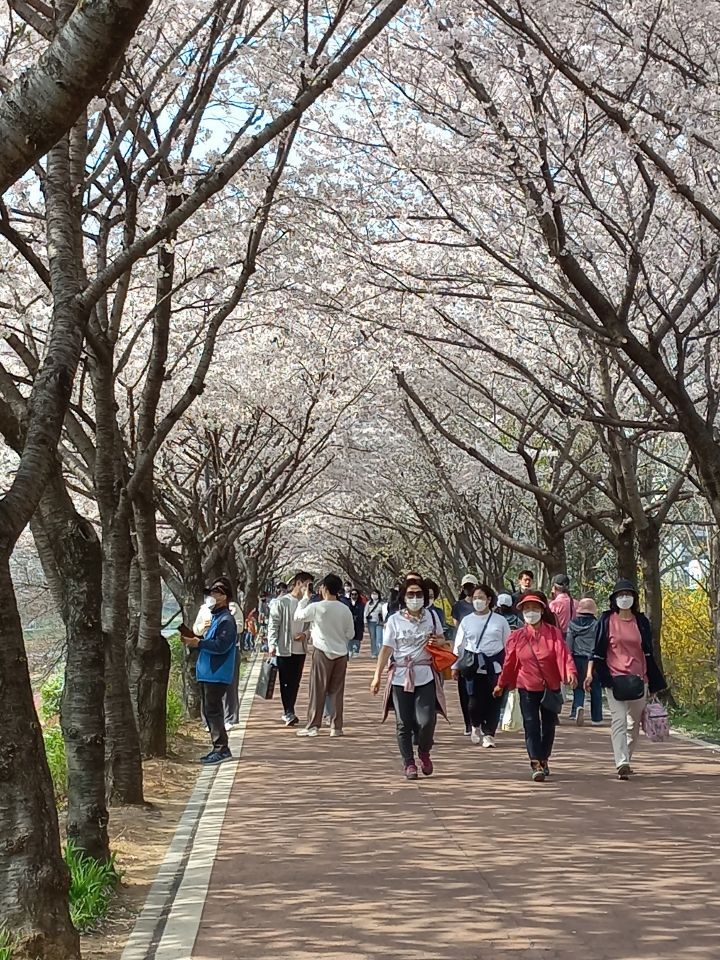 청나헌 이미지