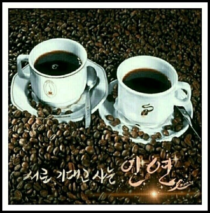 소은 이미지