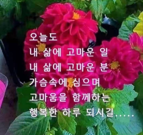 진한커피