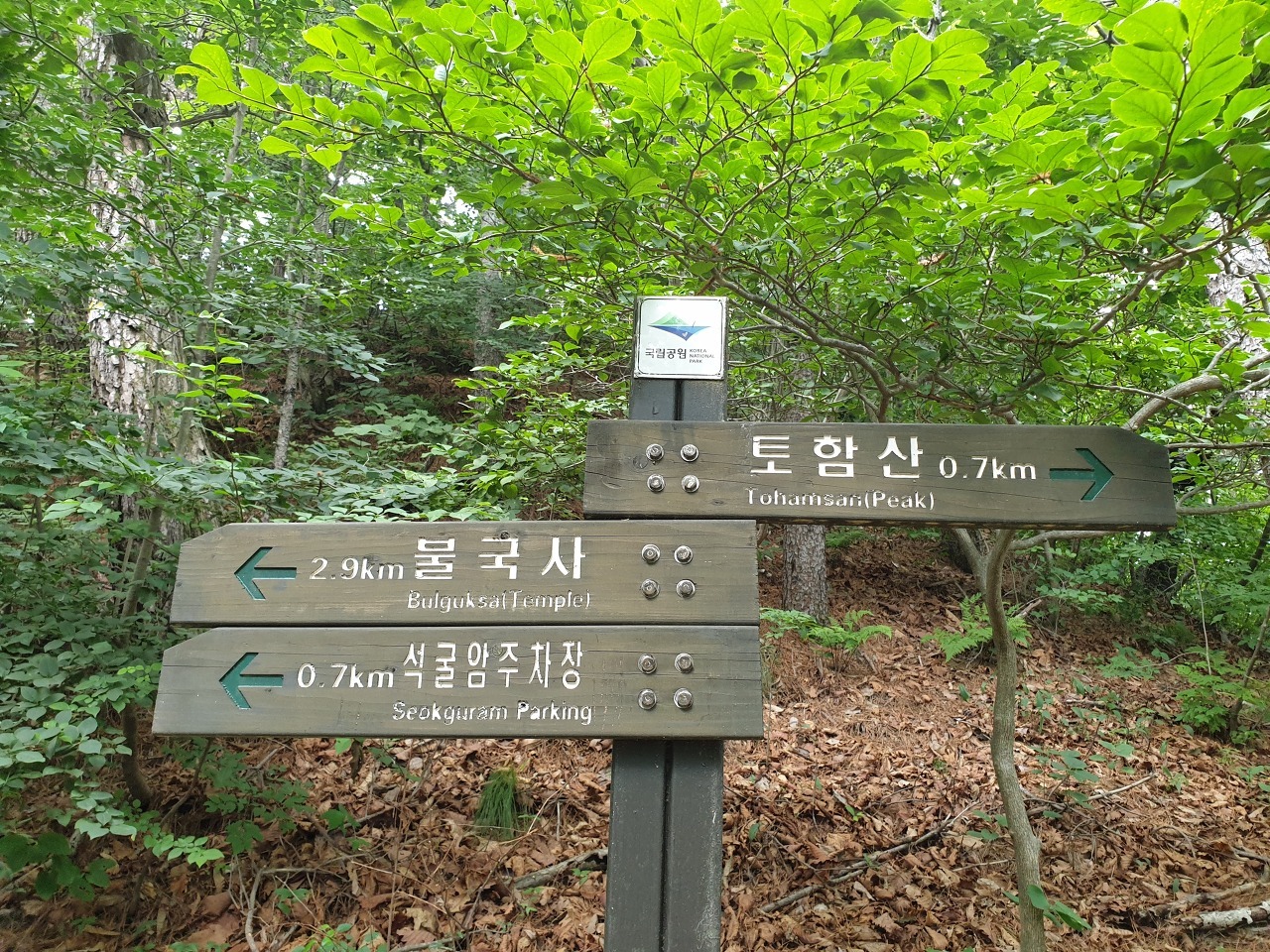 불국사토함산밀면 이미지