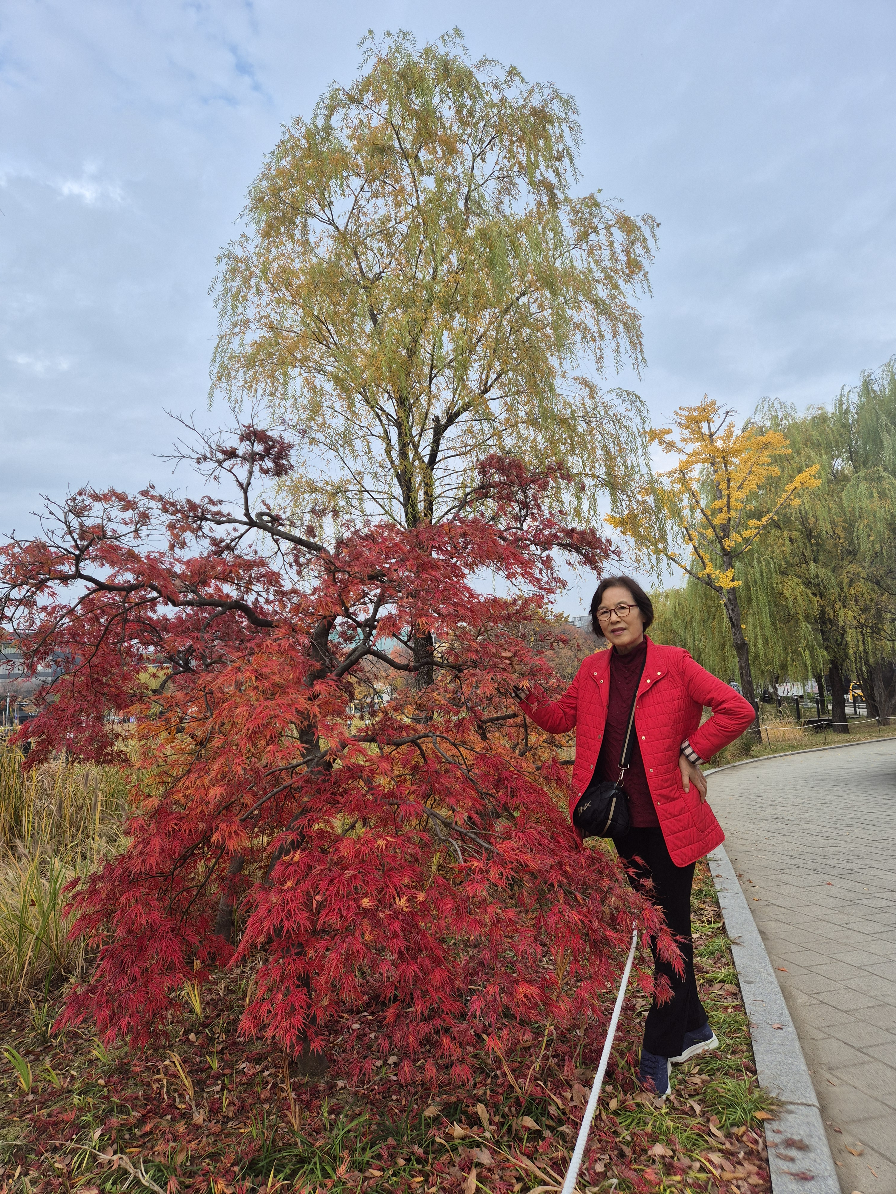 앞산공원 이미지