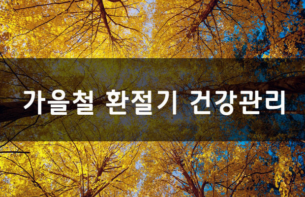 만남노래짱 이미지