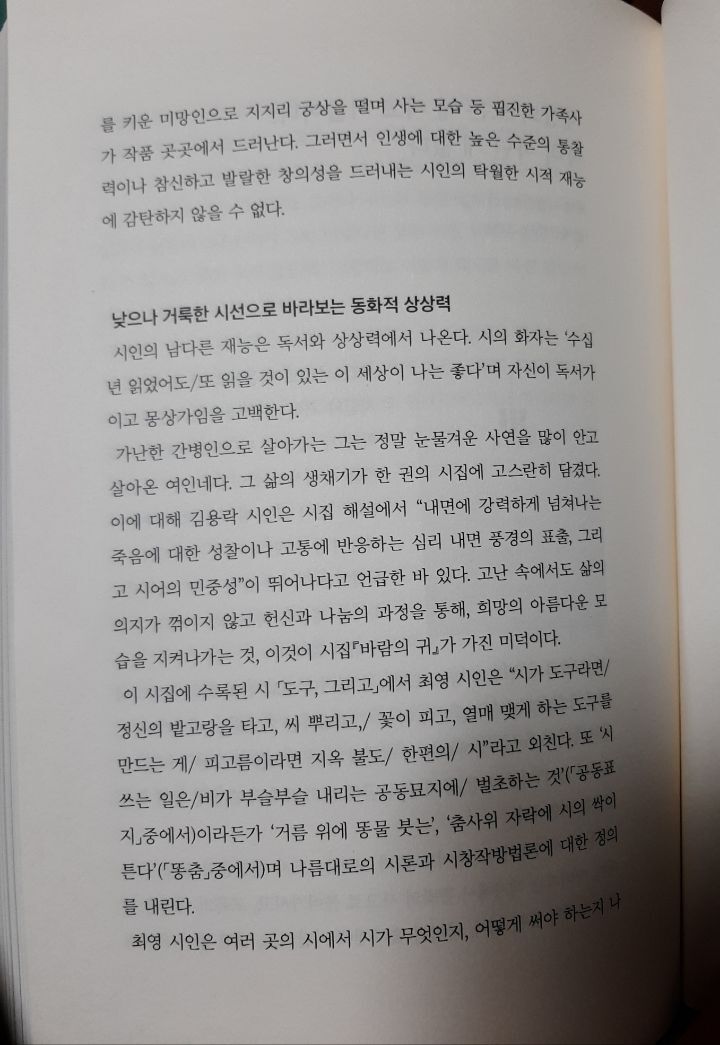 비파악기 이미지