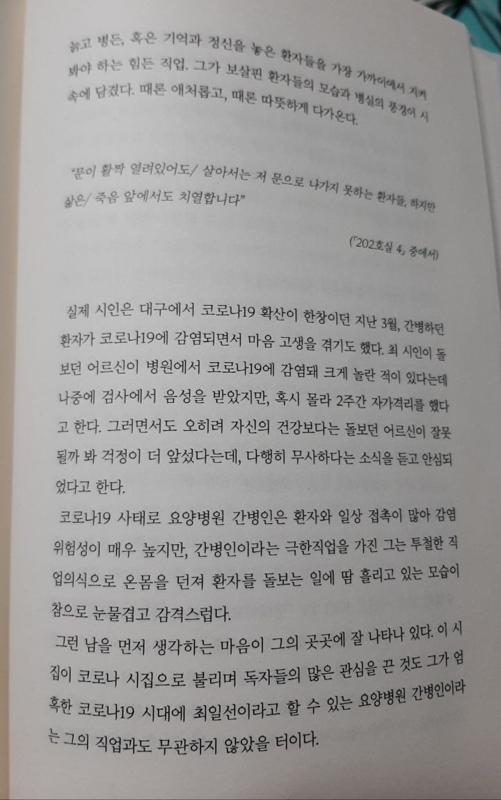 비파악기 이미지