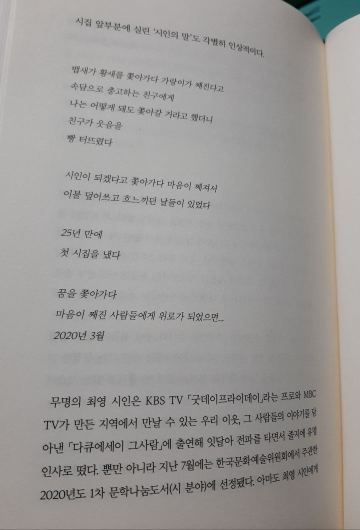 비파악기 이미지