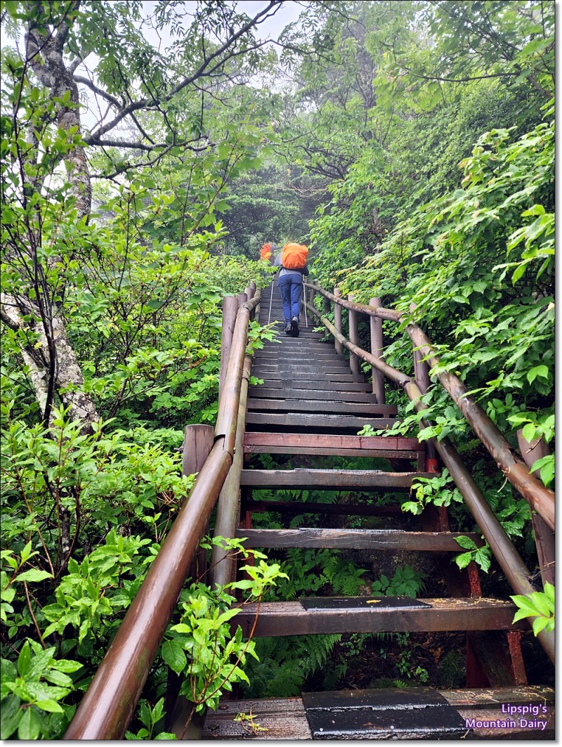 지리산농사꾼 이미지