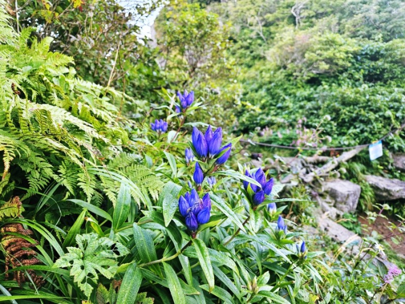 지리산농사꾼 이미지