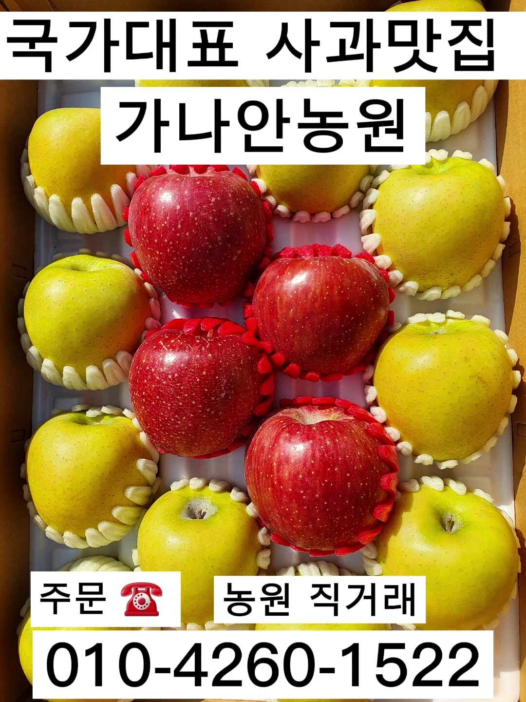 가나안농원 이미지