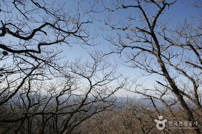 해맞이전망대 이미지