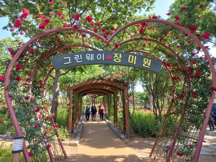 RoseDay 이미지