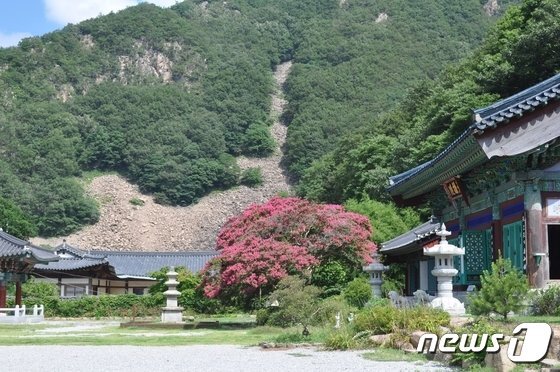 (주)영동 이미지