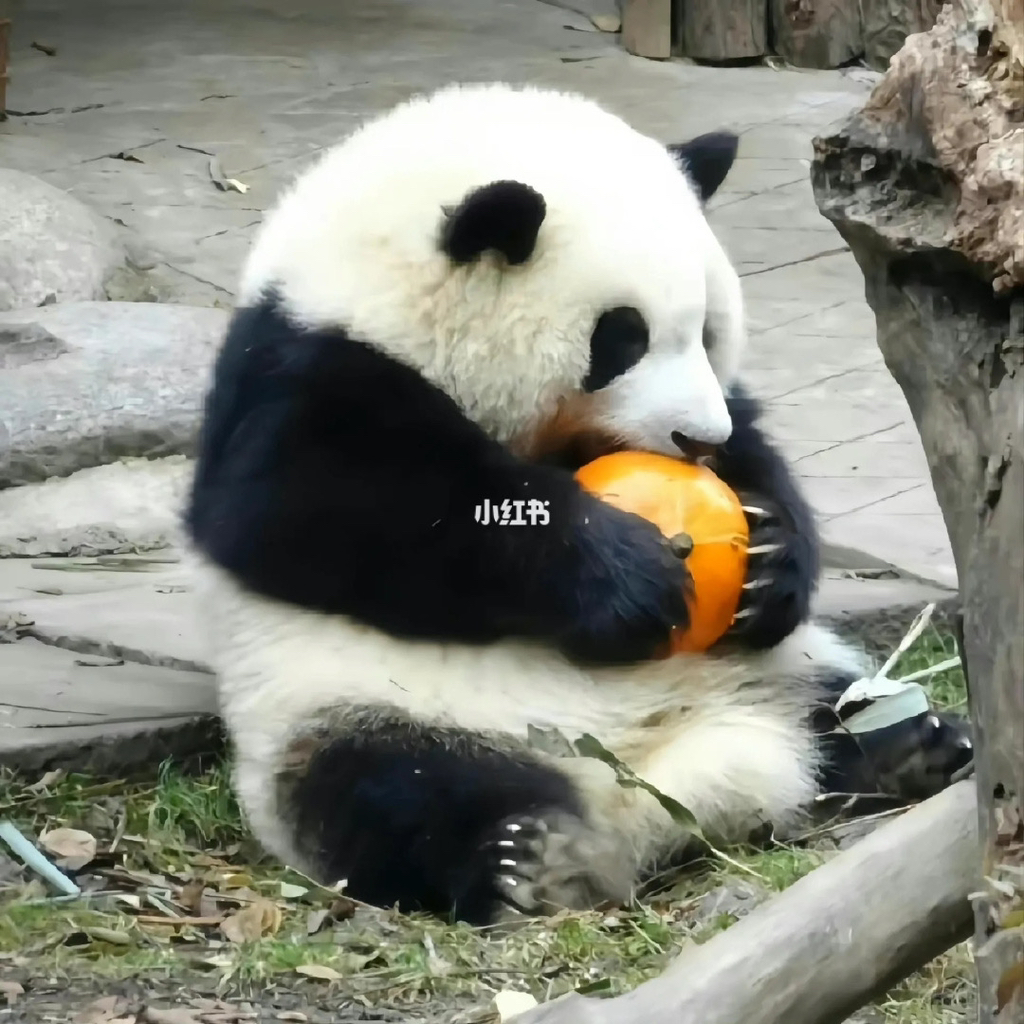 투어크루 이미지